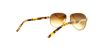 Picture of Ralph Sunglasses RA4004