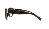 Picture of Ralph Sunglasses RA5176
