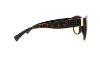 Picture of Ralph Sunglasses RA5176