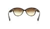 Picture of Ralph Sunglasses RA5176