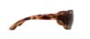 Picture of Ray Ban Sunglasses RB4068
