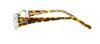 Picture of D&G Eyeglasses DD1179