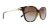 Picture of Michael Kors Sunglasses MK6006 Marrakesh