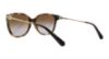 Picture of Michael Kors Sunglasses MK6006 Marrakesh