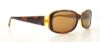 Picture of Kate Spade Sunglasses PAXTON/N/S