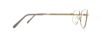 Picture of Flexon Eyeglasses 47