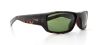 Picture of Nike Sunglasses BRAZEN EV0571