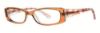 Picture of Vera Wang Eyeglasses V097