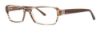 Picture of Vera Wang Eyeglasses V311