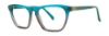 Picture of Vera Wang Eyeglasses V368