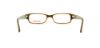 Picture of Converse Eyeglasses WHY