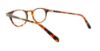 Picture of Jones New York Eyeglasses J516