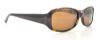 Picture of Kate Spade Sunglasses PAXTON/N/S