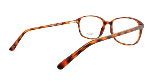 Picture of Fundamentals Eyeglasses F021