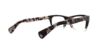 Picture of Cole Haan Eyeglasses CH4007