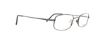 Picture of Flexon Eyeglasses 603