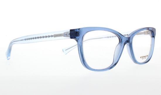 Picture of Coach Eyeglasses HC6072