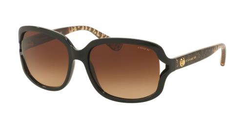 Picture of Coach Sunglasses HC8169 L149