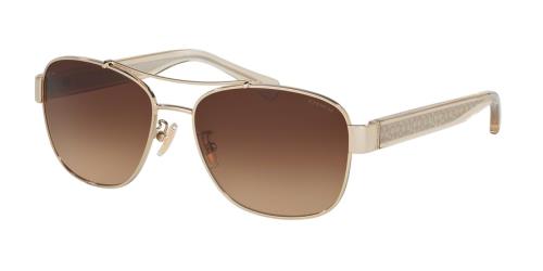Picture of Coach Sunglasses HC7064 L151