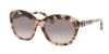 Picture of Coach Sunglasses HC8184 L1600