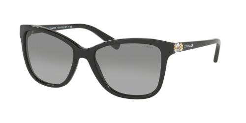 Picture of Coach Sunglasses HC8187B L1597