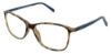 Picture of Bcbgmaxazria Eyeglasses DOREENA