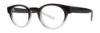 Picture of Gallery Eyeglasses EZRA