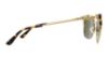 Picture of Tory Burch Sunglasses TY6049
