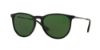 Picture of Ray Ban Sunglasses RB4171F Erika (F)