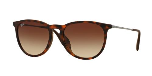 Picture of Ray Ban Sunglasses RB4171F Erika (F)
