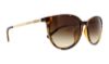 Picture of Armani Exchange Sunglasses AX4048SF