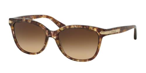 Picture of Coach Sunglasses HC8132 L109