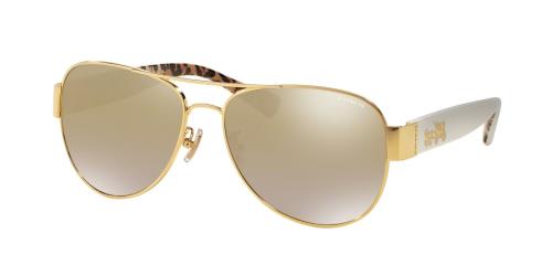 Picture of Coach Sunglasses HC7059 L138