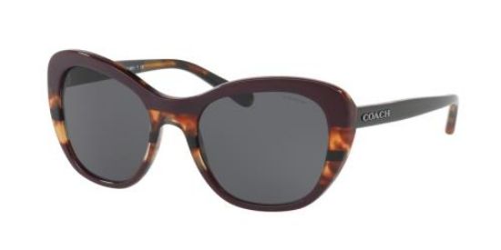 Picture of Coach Sunglasses HC8204