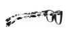 Picture of Coach Eyeglasses HC6081