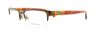 Picture of Polo Eyeglasses PH1134
