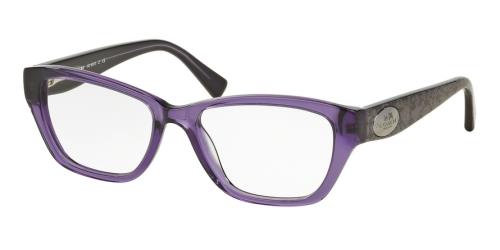 Picture of Coach Eyeglasses HC6070