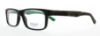 Picture of Polo Eyeglasses PH2140