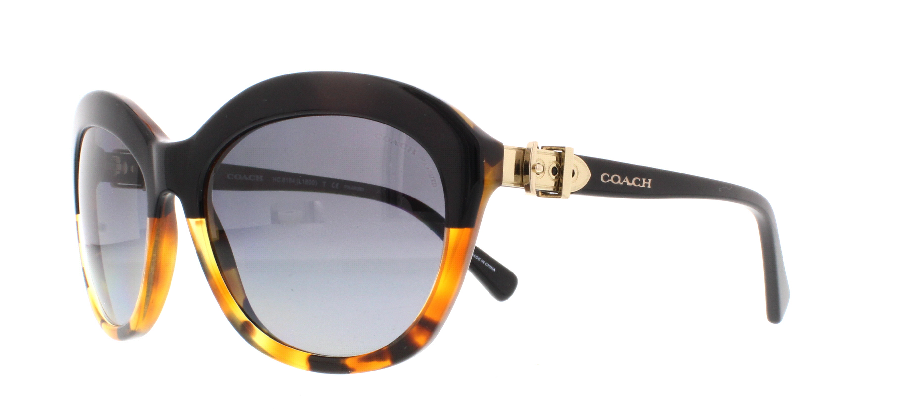 Picture of Coach Sunglasses HC8184 L1600