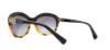 Picture of Coach Sunglasses HC8184 L1600