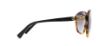 Picture of Coach Sunglasses HC8184 L1600