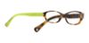 Picture of Coach Eyeglasses HC6002