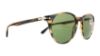 Picture of Persol Sunglasses PO3152S