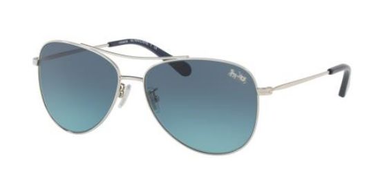 Picture of Coach Sunglasses HC7079