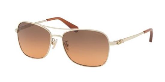 Picture of Coach Sunglasses HC7080