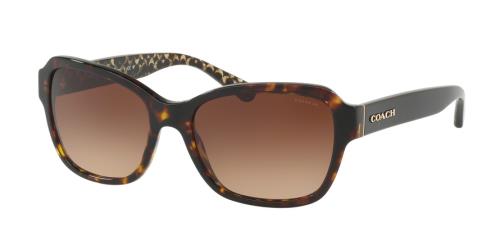Picture of Coach Sunglasses HC8232