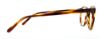 Picture of Polo Eyeglasses PH2150