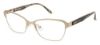 Picture of Bcbgmaxazria Eyeglasses GREER