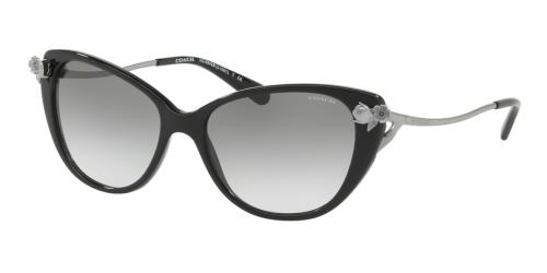 Picture of Coach Sunglasses HC8242B