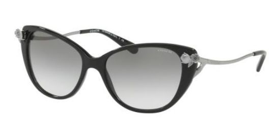 Picture of Coach Sunglasses HC8242B